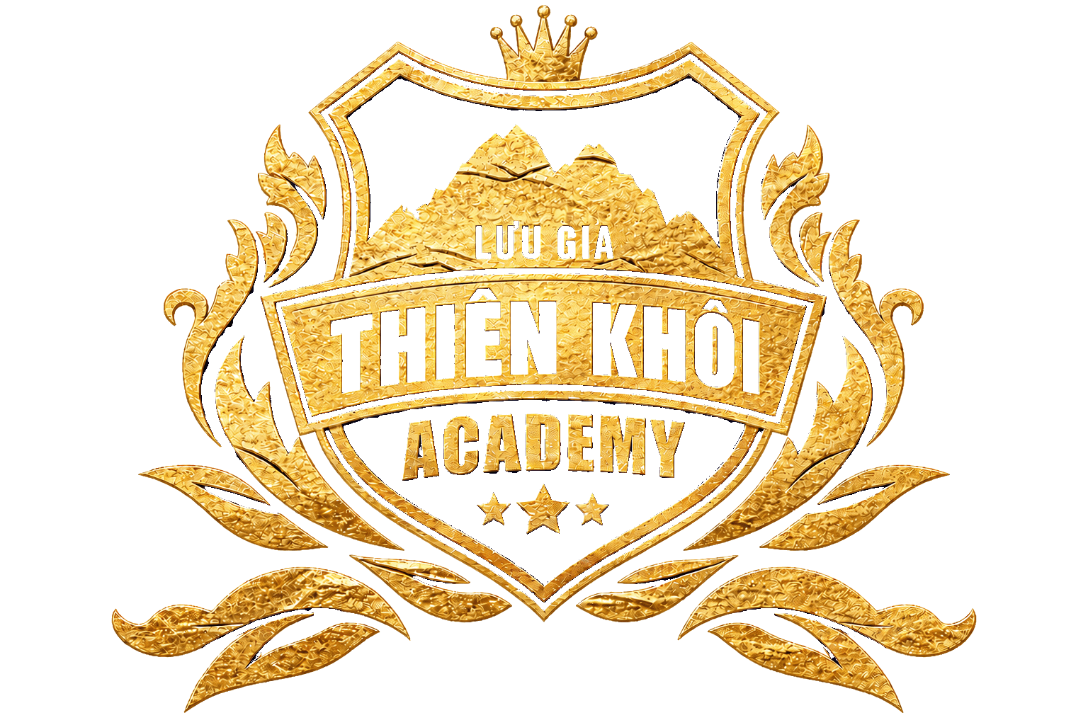 Logo Thiên Khôi Academy